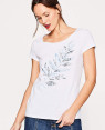 Women-White-Printed-T-Shirt-RO-2565-20-(1)