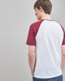 Multi-Colour-Raglan-T-Shirts-RO-137-19-(1)