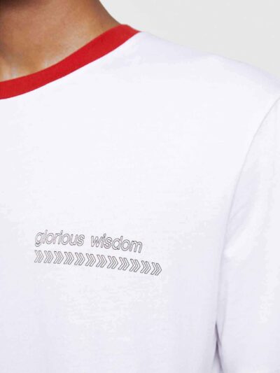 Men's crewneck tee showing custom design area. Soft cotton texture, reinforced stitching. Solid color backdrop highlights per
